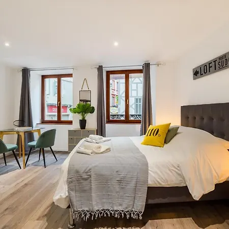 Travel Homes - L'Arsenal, Studios En Hyper Centre Mulhouse Extérieur photo