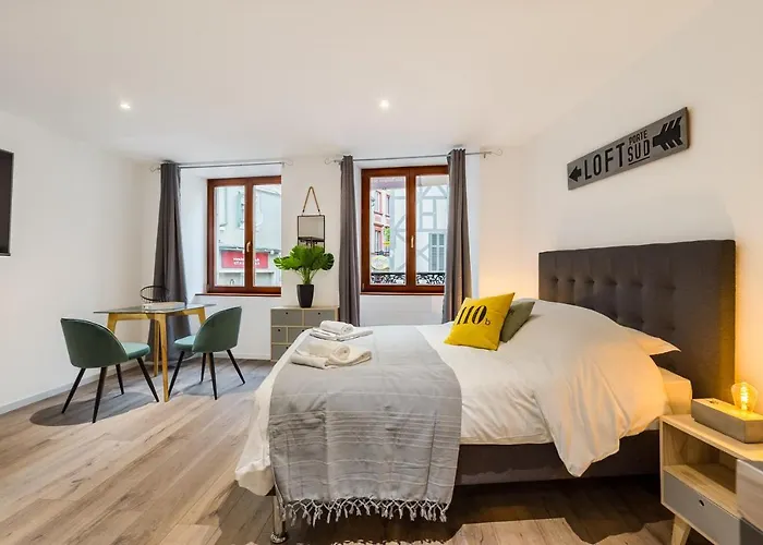 Travel Homes - L\'Arsenal, Studios En Hyper Centre