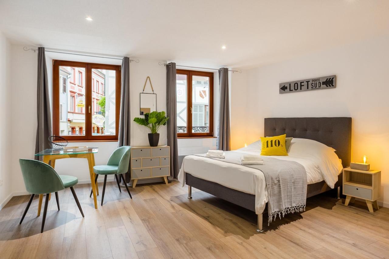 Travel Homes - L'arsenal, En Hyper Centre * Mulhouse